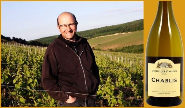 Новое Chablis - от Domaine Dominique Gruhier