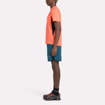 Футболка мужская Reebok CHILL ATHLETE 2.0 (Оранжевая)