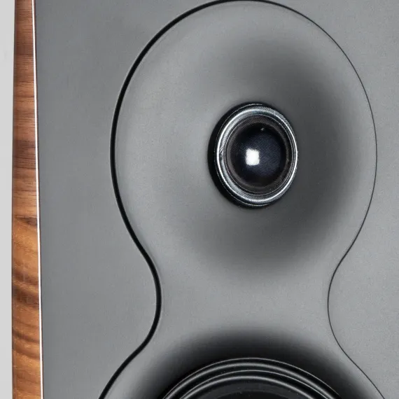 Gold Note A6 Evo II Glossy Walnut