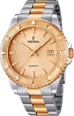 Мужские наручные часы Festina F16685/2