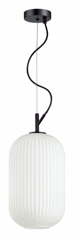 Подвесной светильник Odeon Light Roofi 4751/1