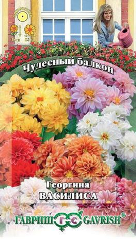 Георгина Ерошка 0,2гр/Удачные семена/Гавриш
