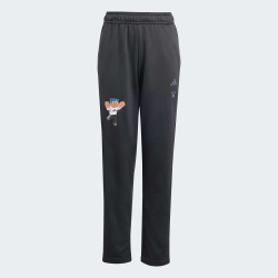 Adidas Брюки Minecraft, черный