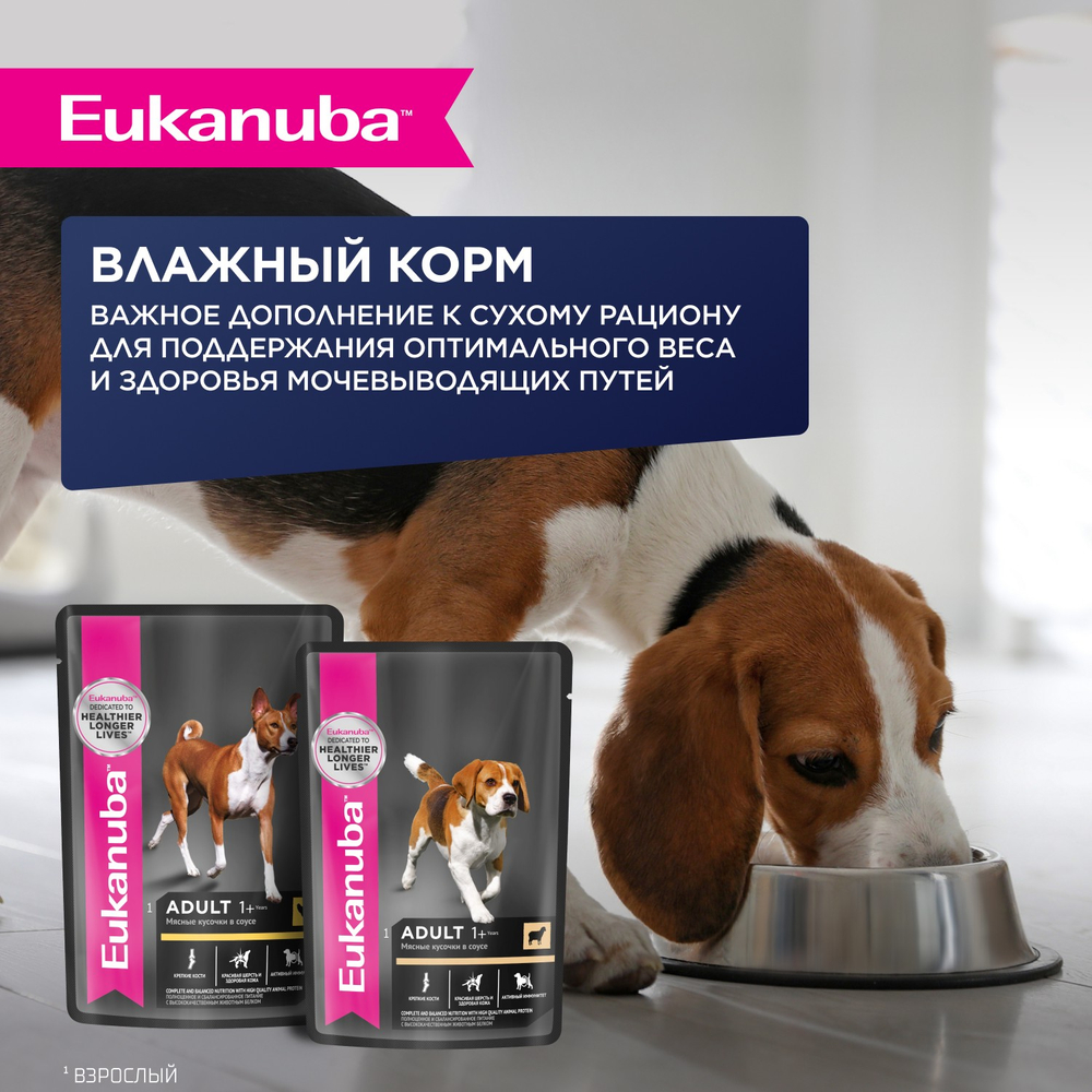 Сухой корм Eukanuba для взрослых собак мелких и средних пород старше 1 года с ягненком 3 кг