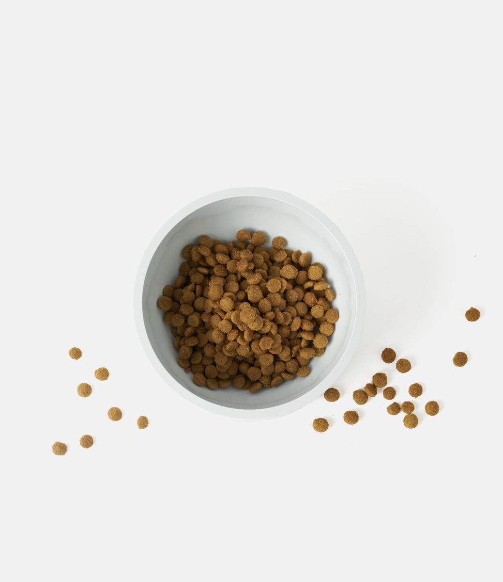 Boo Oh Mogo Bowl Light Grey — миска для питомца