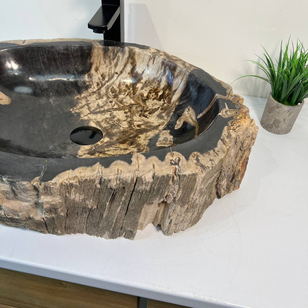Раковина из окаменелого дерева OD-66882 62x47x15 из натурального камня