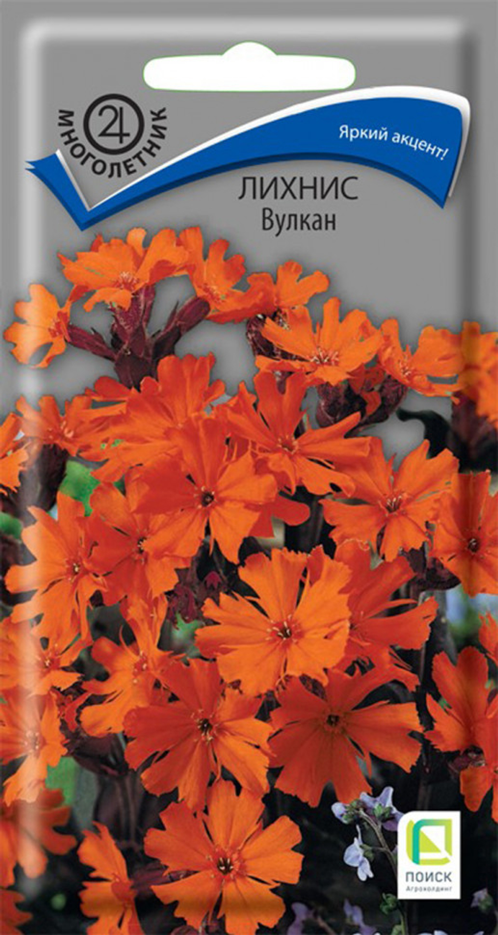 Лихнис Вулкан  0,1гр Поиск