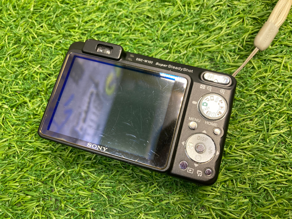 Sony W150