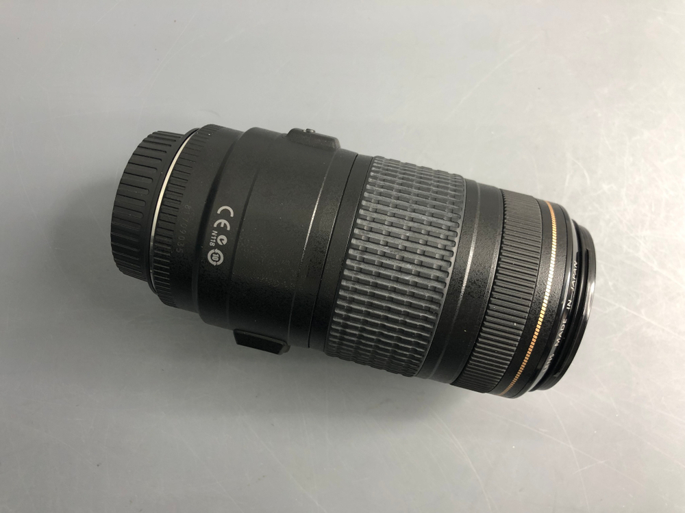 Canon EF 70-300 4-5.6 IS USM