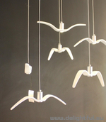 Night-Birds-Brokis 2