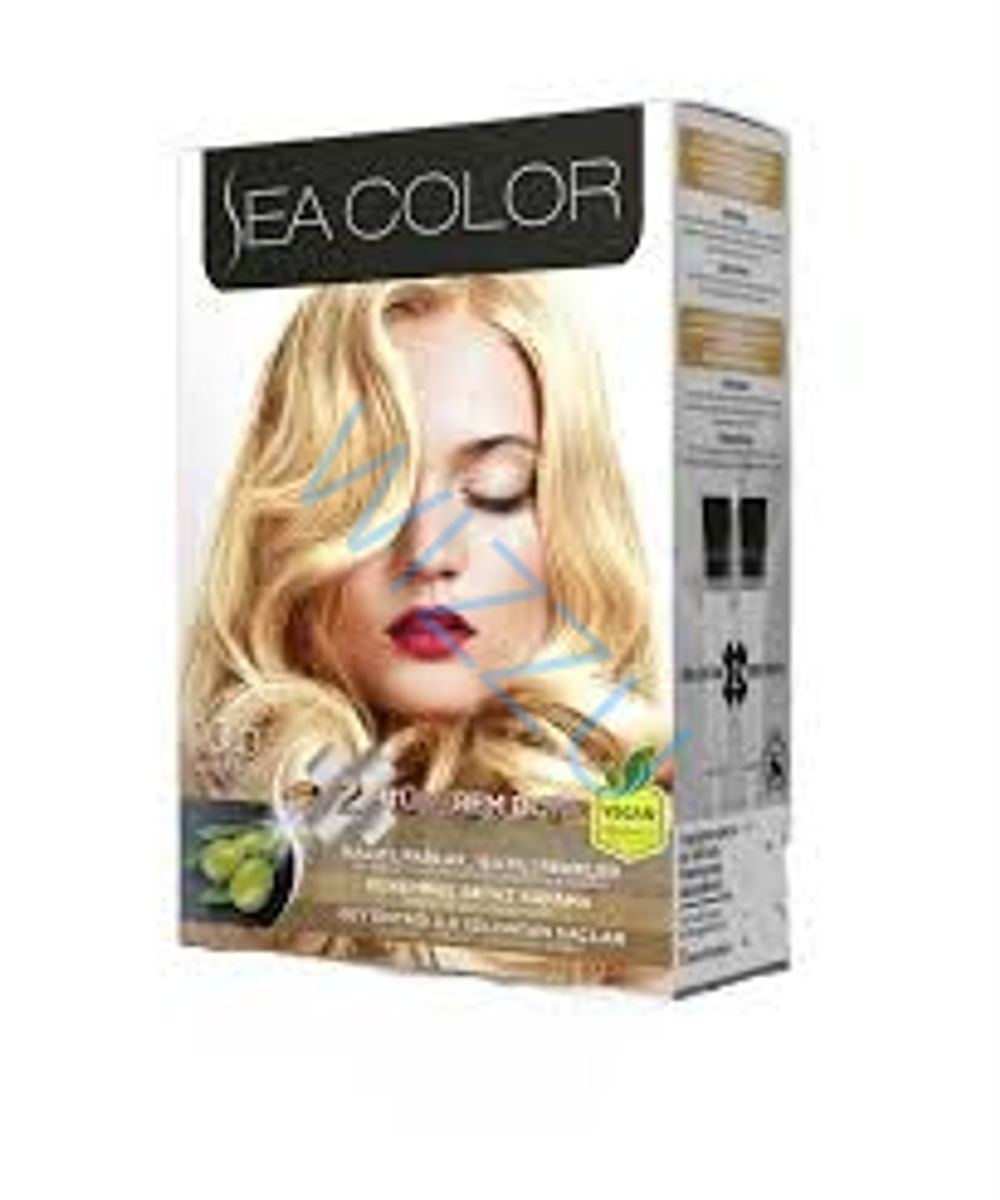 Краска для волос Sea Color Hair Dve Kit 10 Светлый Блонд