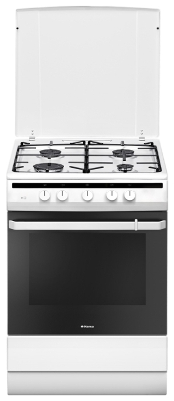 Кухонная плита Hansa FCGW61000