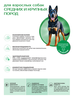 Корм сухой для взрослых собак средних и крупных пород, с ягненком, 3 кг, QUATTRO