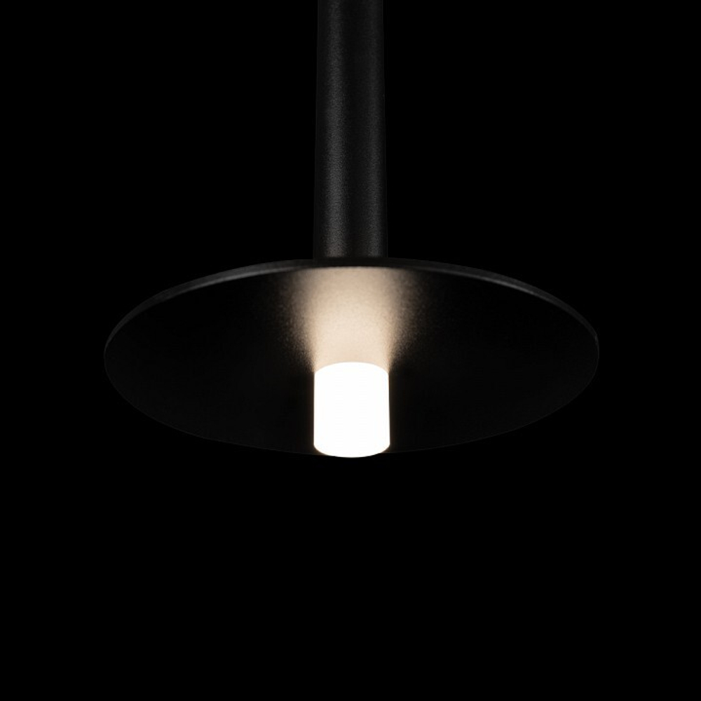 Подвесной светильник Loft it Reed 10358/830 Disk