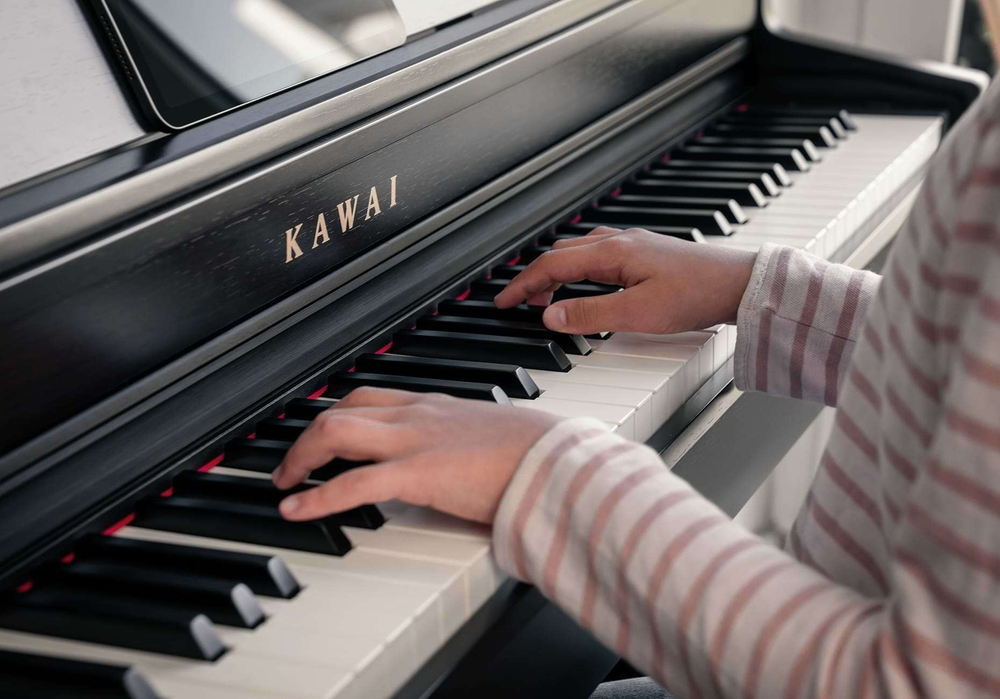 Kawai CN301