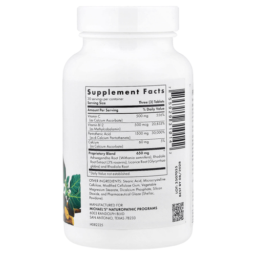 Michael's Health, Energy Adrenal Support, 90 вегетарианских таблеток