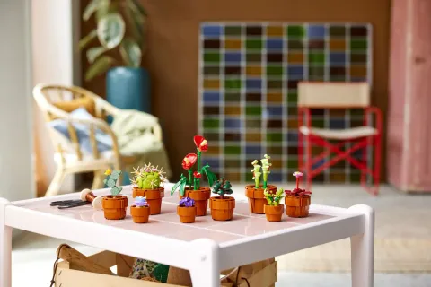 Конструктор LEGO Botanical Collection 10329 Крошечные растения