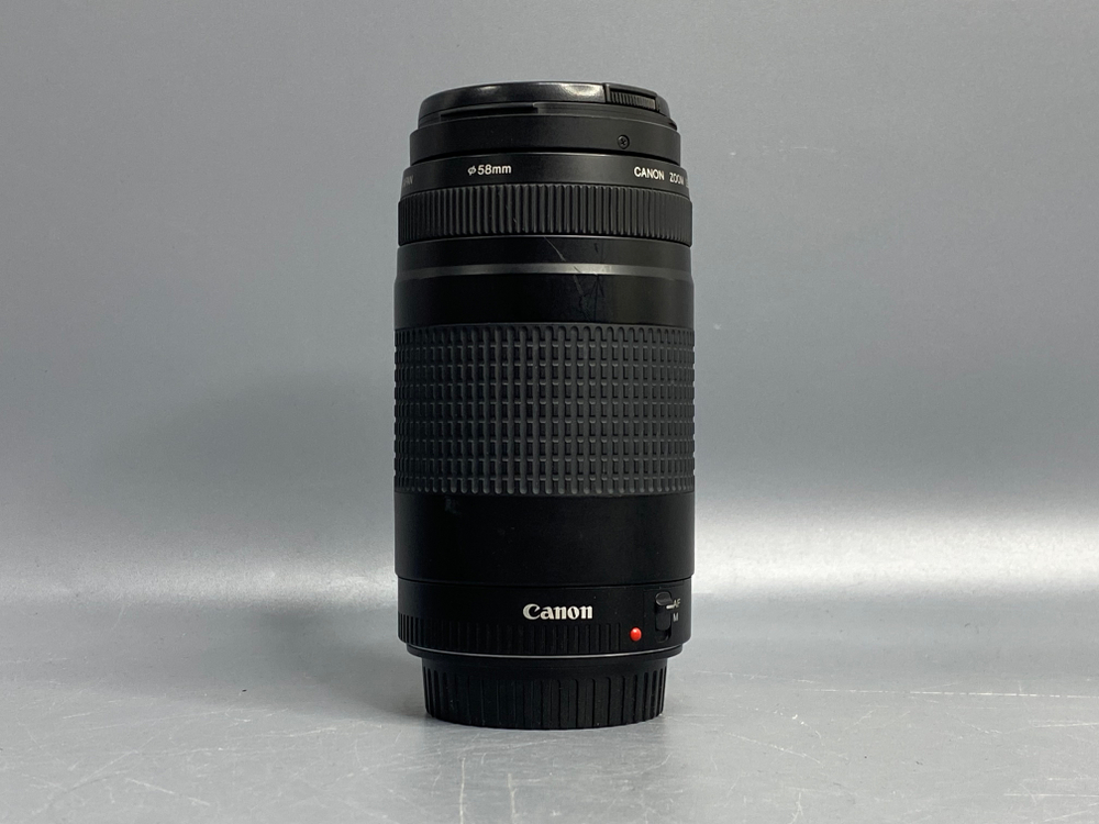 Canon EF 75-300mm f/4-5.6 III