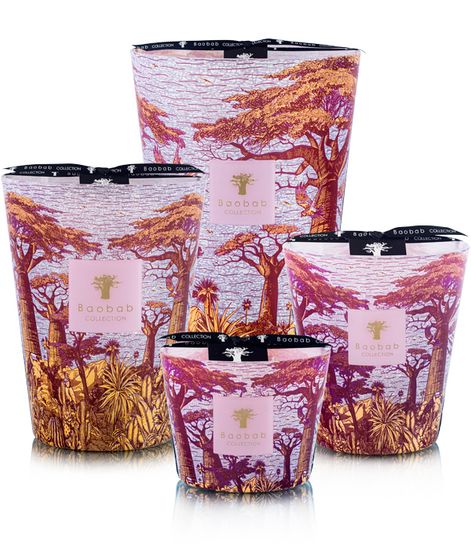 Massasso, свеча MAX 16 Sacred Trees collection, Baobab Collection