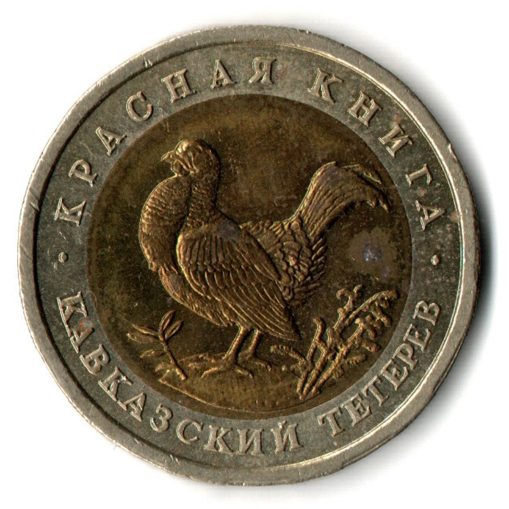 50 рублей 1993 года Кавказский тетерев VF