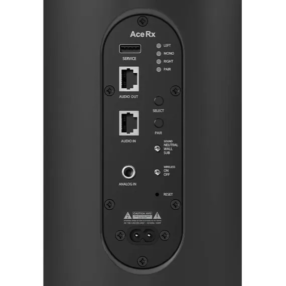 Piega Ace 50 Wireless RX Black