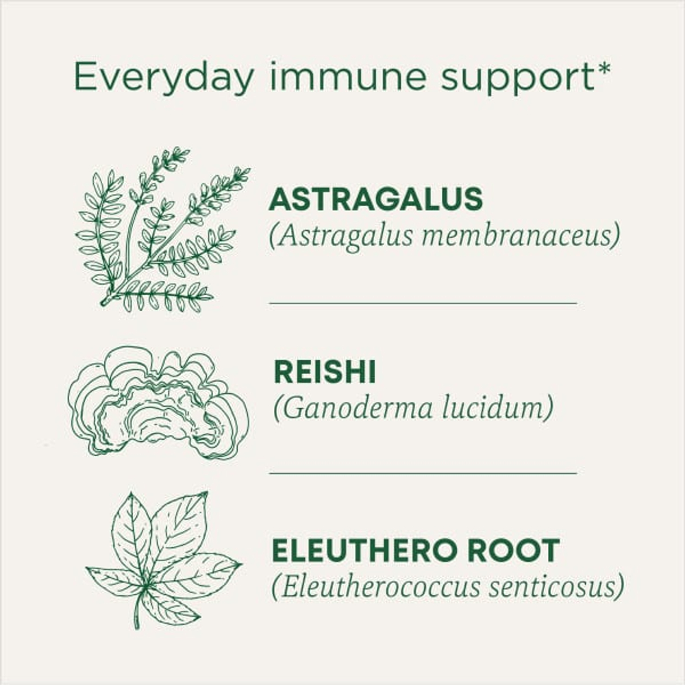 Traditional Medicinals, Organic Stress Ease® Immune, согревающая приправа с грибами рейши, без кофеина, 16 чайных пакетиков в упаковке, 28 г (0,99 унции)
