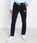 штаны scanton Tommy Jeans - темно-синий(DM0DM14474)