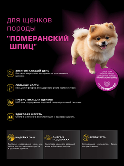 Quattro корм для щенков породы Померанский шпиц, с говядиной, 6 кг, QUATTRO