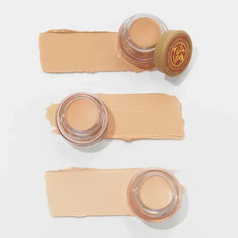 Skinfood Salmon Darkcircle Concealer Cream
