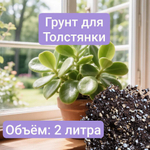 Авторский грунт для Толстянки 2 литра универсальный грунт 2 литра