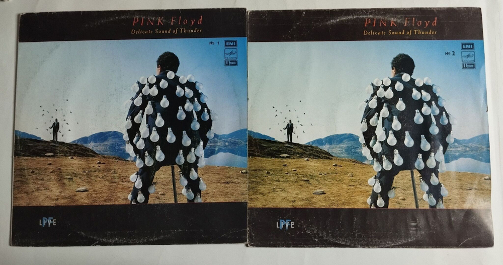 Винтажная виниловая пластинка LP Pink Floyd Delicate Sound Of Thunder (СССР 1990) Рижский Завод