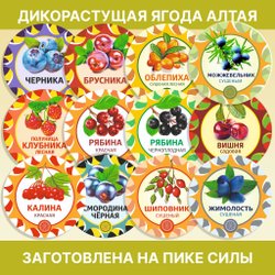 Курильский чай