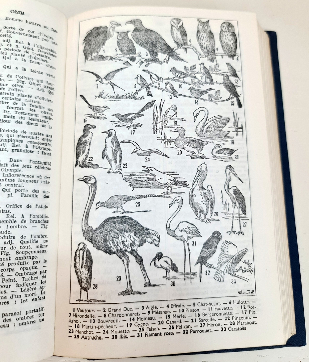 Dictionnaire francais illustre: Lettres ornees de Claudel: Parties grammaticale, historique, geographique (Иллюстрированный французский словарь: витиеватые письма Клоделя: грамматическая, историческая, географическая части), A.Rozoy, Mayer Roger
