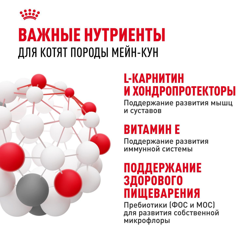 Royal Canin Maine Coon Kitten Киттен Мейн Кун Корм сухой для котят породы Мэйн Кун в возрасте от 4 до 15 месяцев 4кг