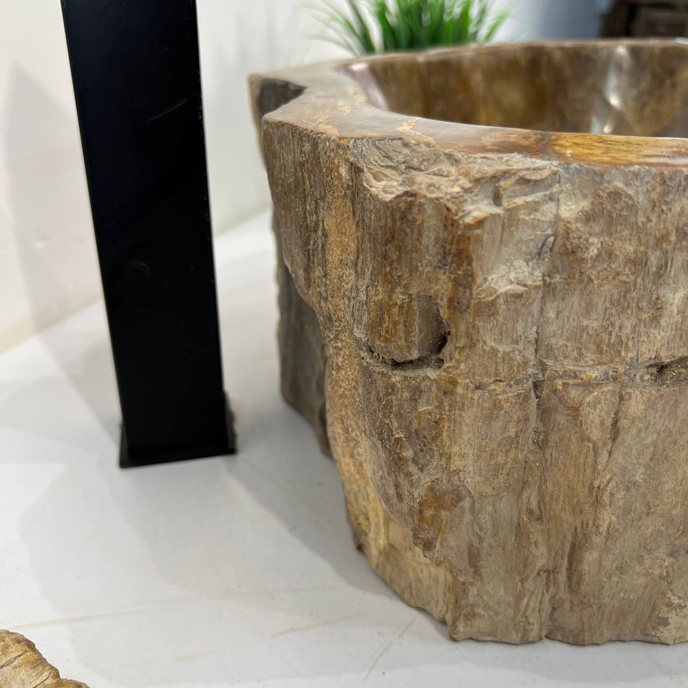 Раковина из окаменелого дерева OD-67013 44x33x15 из натурального камня