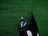DSCN3071.JPG