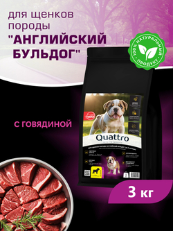 Корм сухой для щенков породы Английский бульдог, с говядиной, 3 кг, QUATTRO