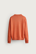 СВИТЕР ИЗ 100% ХЛОПКА С ВЫШИВКОЙ FRUIT OF THE LOOM™ — ZARA · 3284/324