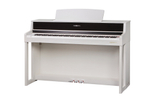 Kurzweil Andante CUP410