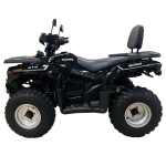 Квадроцикл Bashan BS200AU-19 черный