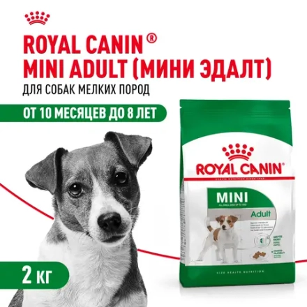 Корм сухой для взрослых собак мелких и средних пород, 2кг Royal Canin MINI ADULT