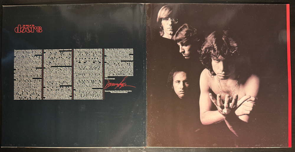 The Doors ‎– The Best Of The Doors 2LP (Германия 1985г.)