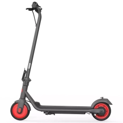 Электросамокат Ninebot by Segway KickScooter C20 (черный)