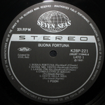 Pooh / Buona Fortuna (LP)