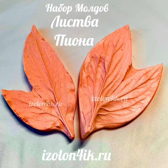 Набор молдов Б43+Б44 Листья Пиона (13,5*8 // 13,5*7)