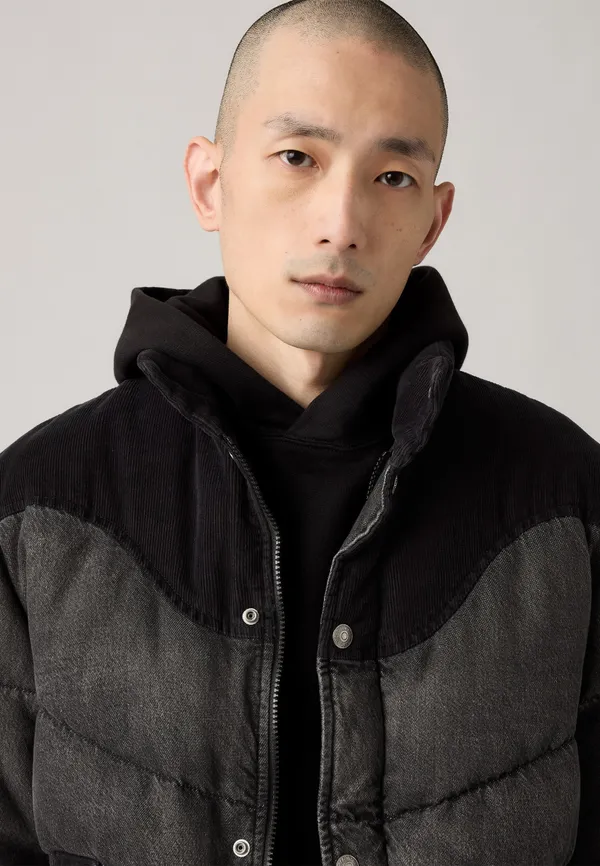 Куртка утепленная мужская LEVI'S WILD WEST SHRT PUFFER HAMILTON HEIGHTS