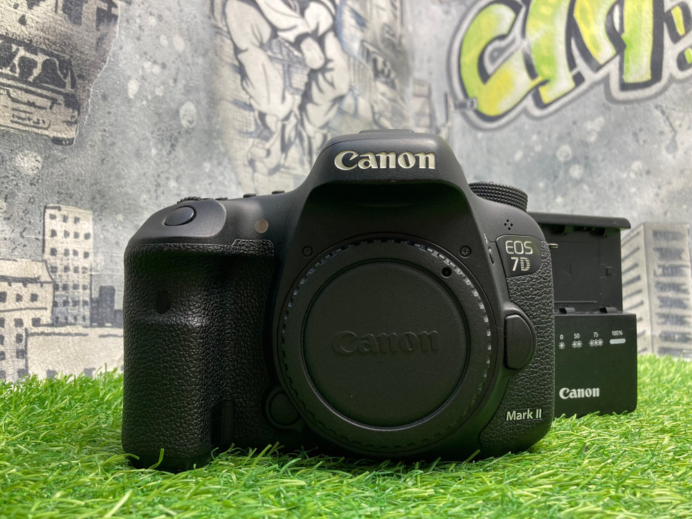 Canon 7D Mark II 250 кадров