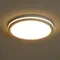 Потолочный светильник Rua FR6160CL-L40W Freya
