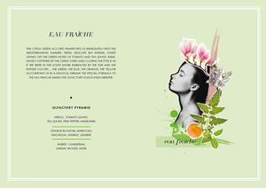 You First Pura Rinascita Tomato Leaves And Orange Blossoms