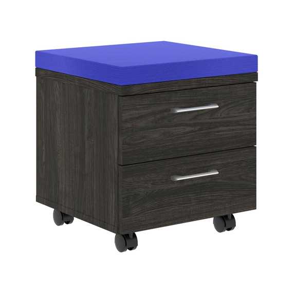 Тумба с подушкой XMC-2D.1A 465х465х520 XTEN